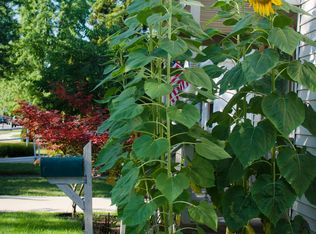 22836 Roxana Ave, Eastpointe, MI 48021