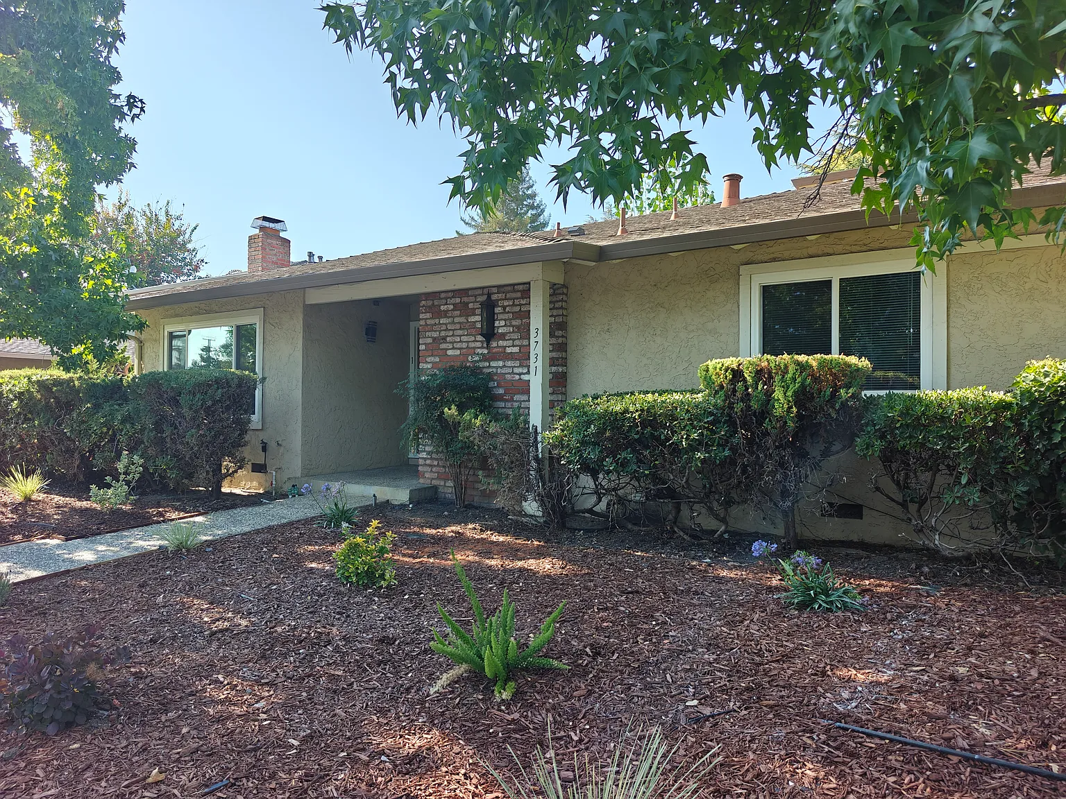 3 bed, 1550 sqft, $4,995 — Photo 3