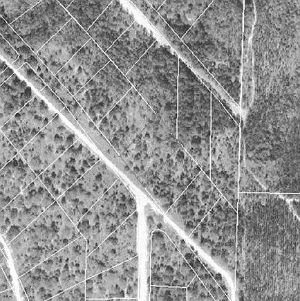 2nd image of Dorcas Rd