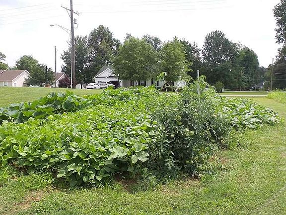 3rd image of 114 Britton Dr