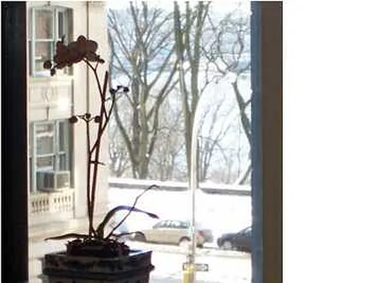 Sold by Ann Ferguson, LLC | media 4