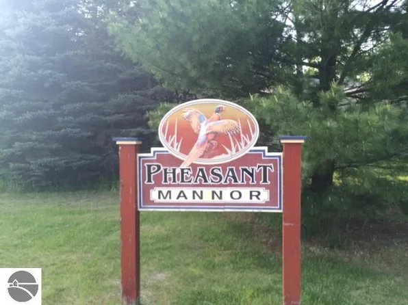 00 Ringneck Ln Lot 12, Buckley, MI 49620