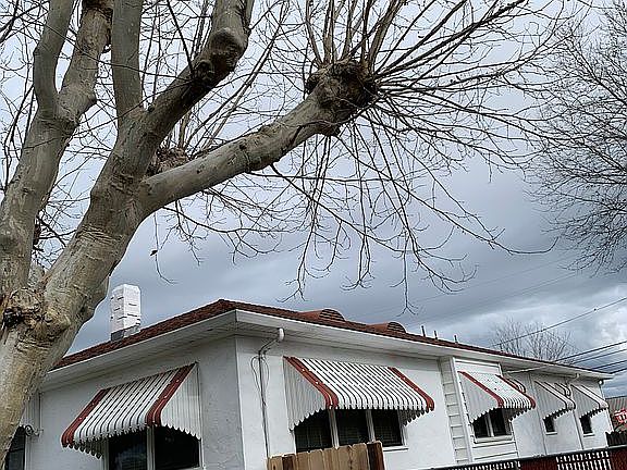 Backyard and RV parking 