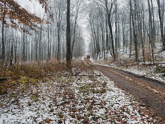 4th image of Binder Road Parcel #11