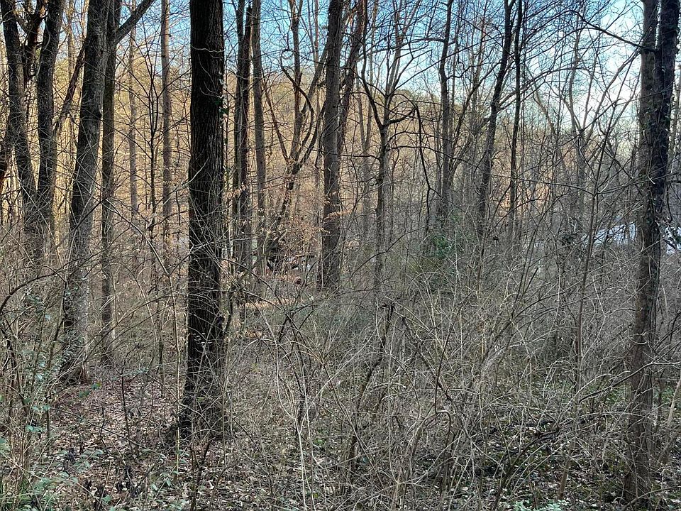 1st image of 2504 SW Tall Pine Ln