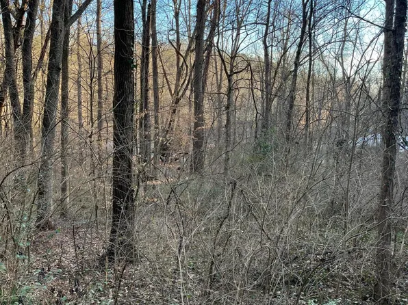 2504 SW Tall Pine Ln, Knoxville, TN 37920