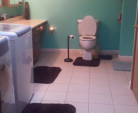 Downstairs bathroom/Laundry