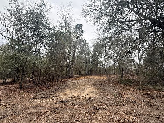 4th image of 223 Ridge Road