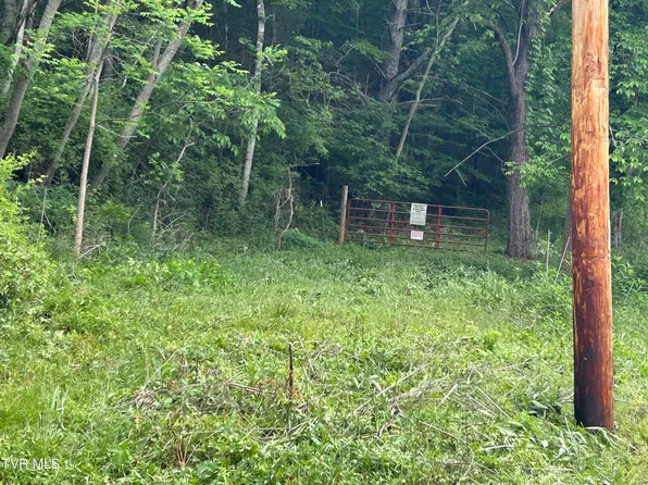0 High Country Rd #91145.00, Butler, TN 37640