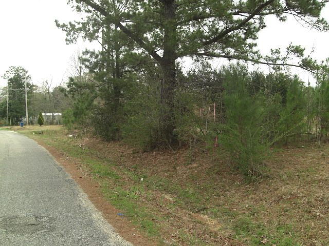 2nd image of Magnolia Dr