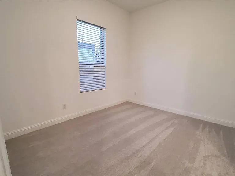 30607 Bahia Oak Bnd — Photo 38