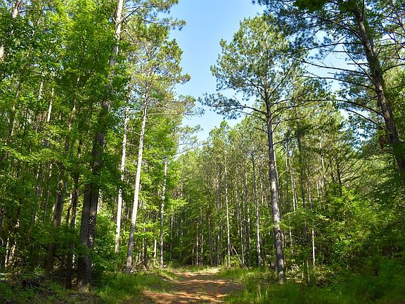 Compass South Land Sales Alabama Brinn Tract 04