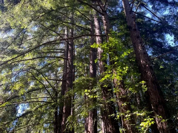 0 Sycamore Canyon Rd, Big Sur, CA 93920