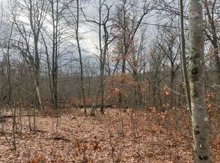 PARCEL Logan Trl #D, Baldwin, MI 49304