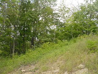 1st image of 4 Wadsworth Drive