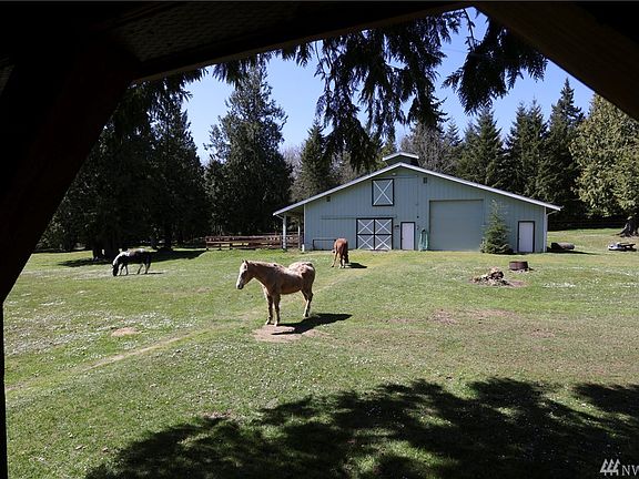 These happy horses would love to stay on the property...would you consider this beautiful life?