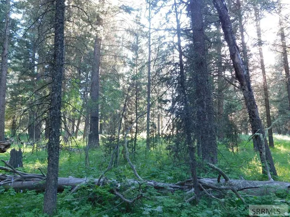 4911 Shadow Wood Ln, Island Park, ID 83429