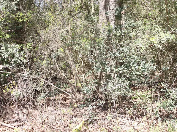 0 Knotty Pine Ln, Huntsville, TX 77340