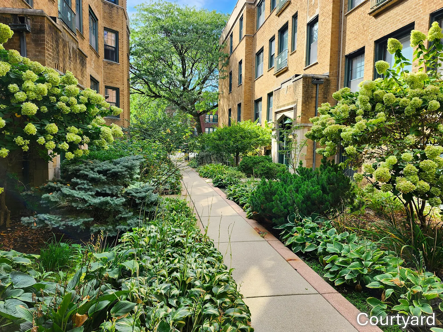 2 bed, 800 sqft, $1,825 — Photo 4