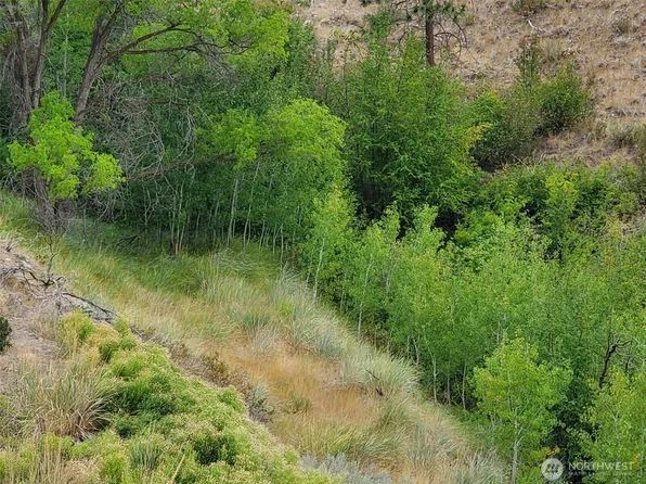 6 Cowboy Road, Methow, WA 98834