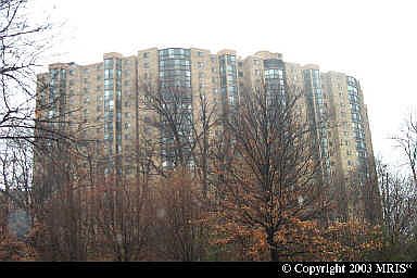 2nd image of 5904 Mount Eagle Dr APT 1412