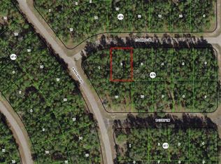 156 E Simms Ln, Citrus Springs, FL 34434