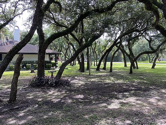 4th image of 253 Live Oak Dr