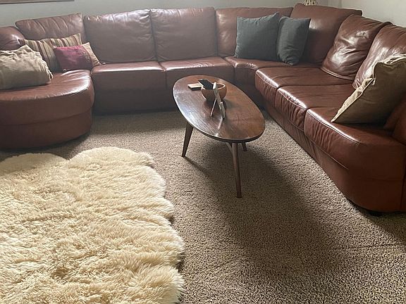 Downstairs family room