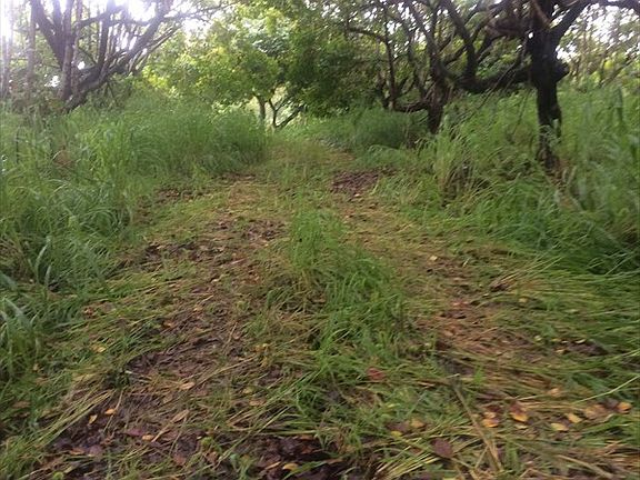 2nd image of 34-170 Kaihuiki Rd Lot 52