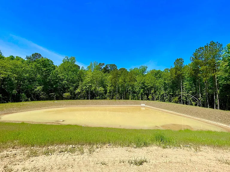 Outside Pond