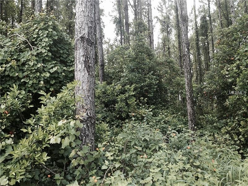 1st image of 7937 Coffee Creek Ln
