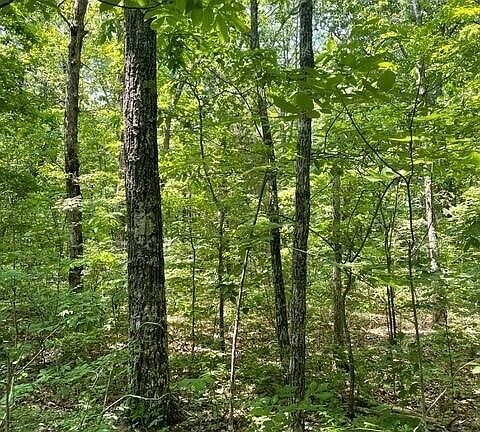 2nd image of 5 N Campbell Rd Lot 5