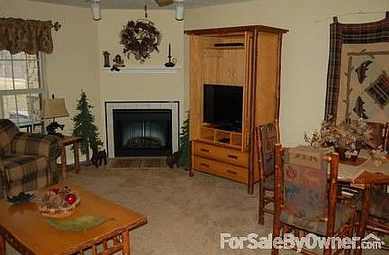 Cabin style living room . : Electric fireplace in corner.