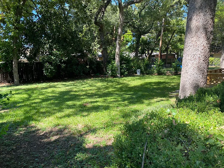Backyard #2