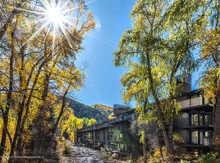 1039 E Cooper Ave APT 17A, Aspen, CO 81611