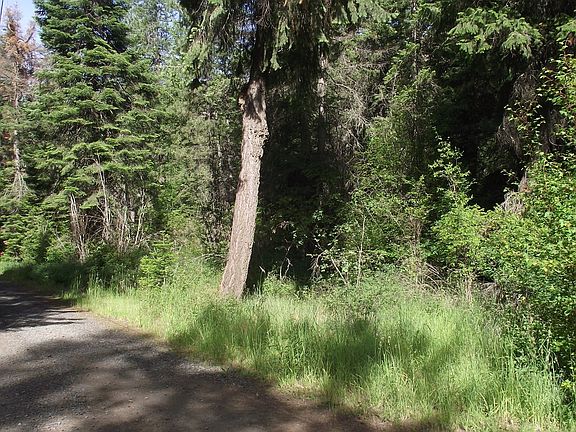 3rd image of River Canyon Rd
