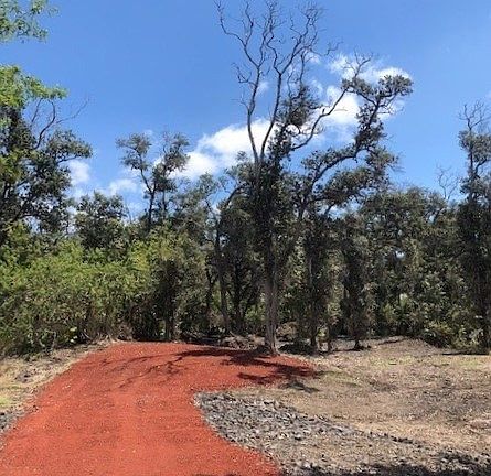 2nd image of Orchid Pkwy Lot 29