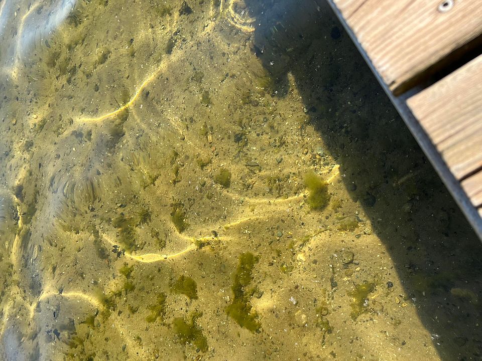 22745 Lake Dr, Pierson, MI 49339 Zillow