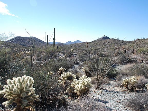 5th image of 44400 N Cottonwood Canyon Road #-