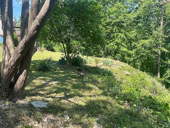 4th image of 0 Amherst Dr