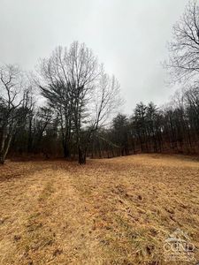 0 Scheller Park Road, West Coxsackie, NY, 12192