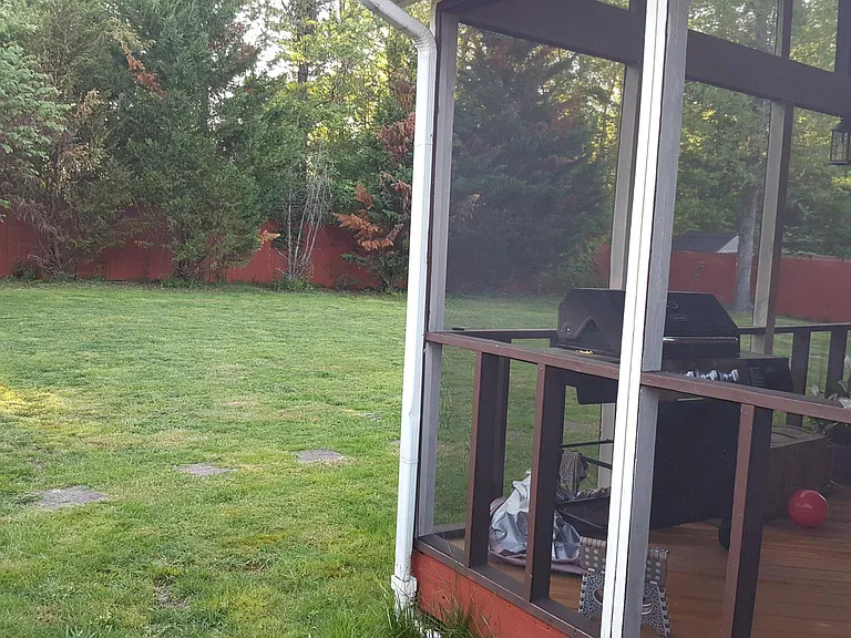 Backyard 1