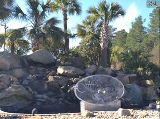 175 Sandlapper Way UNIT 11B, Lexington, SC 29072