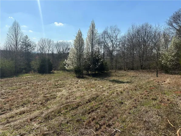 0 Mineral Springs Trl #1D, Demorest, GA 30535