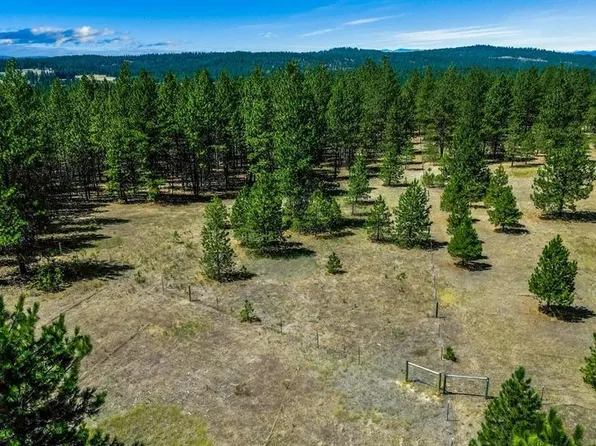 338XX N Madison Rd, Elk, WA 99009