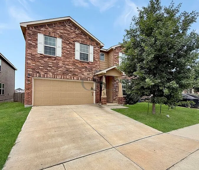 186 Texas Thistle — Photo 41