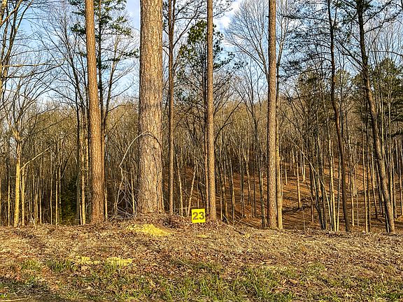 5th image of 3972 Hazel Patch Rd