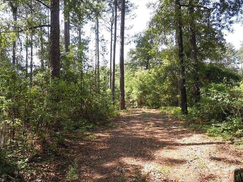 41 Camp Eight Rd, Bluffton, SC 29910 Zillow