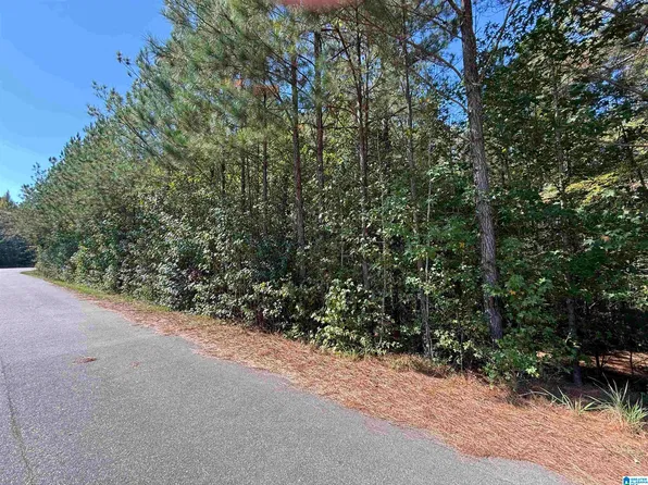 110 Fallview Way #1, Odenville, AL 35120