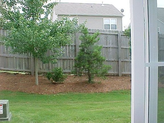 BACK YARD